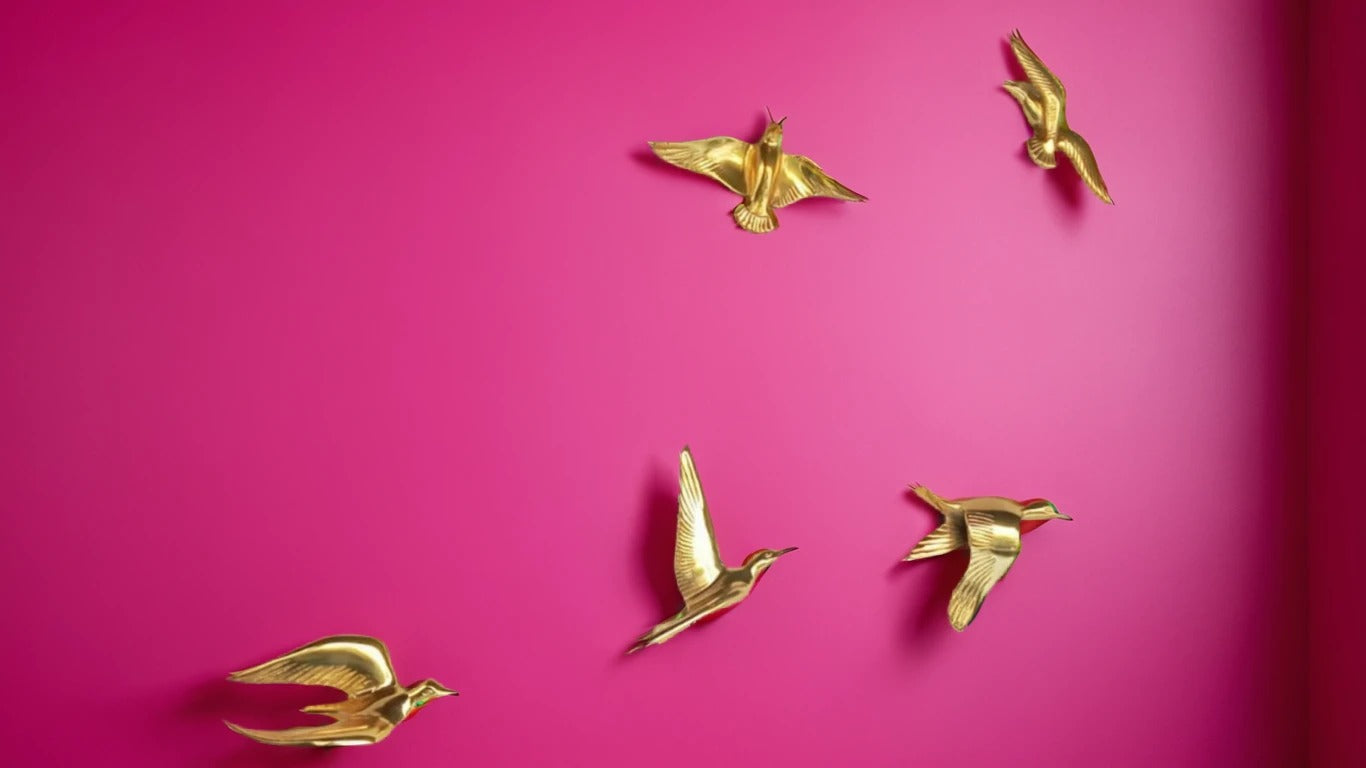 Set of 5 birds