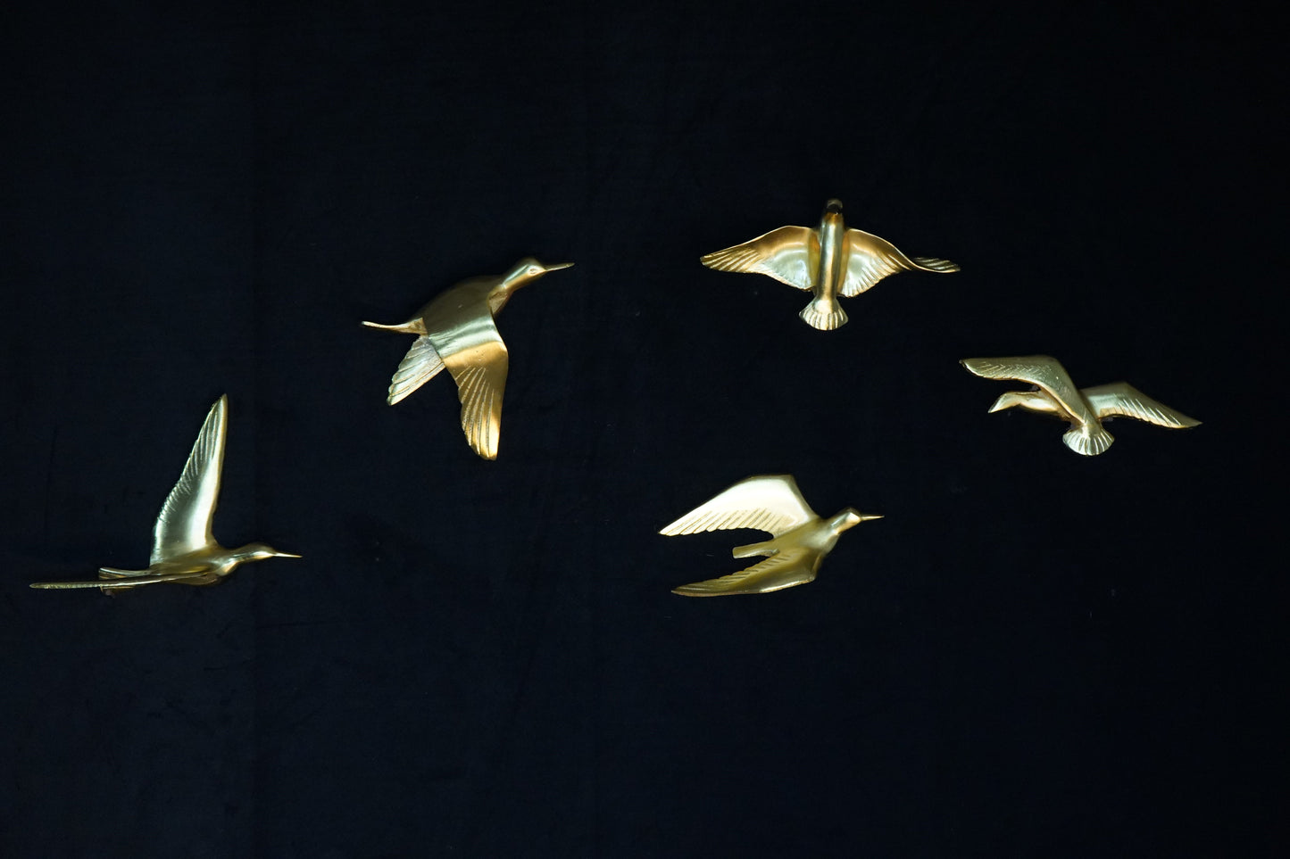 Set of 5 birds
