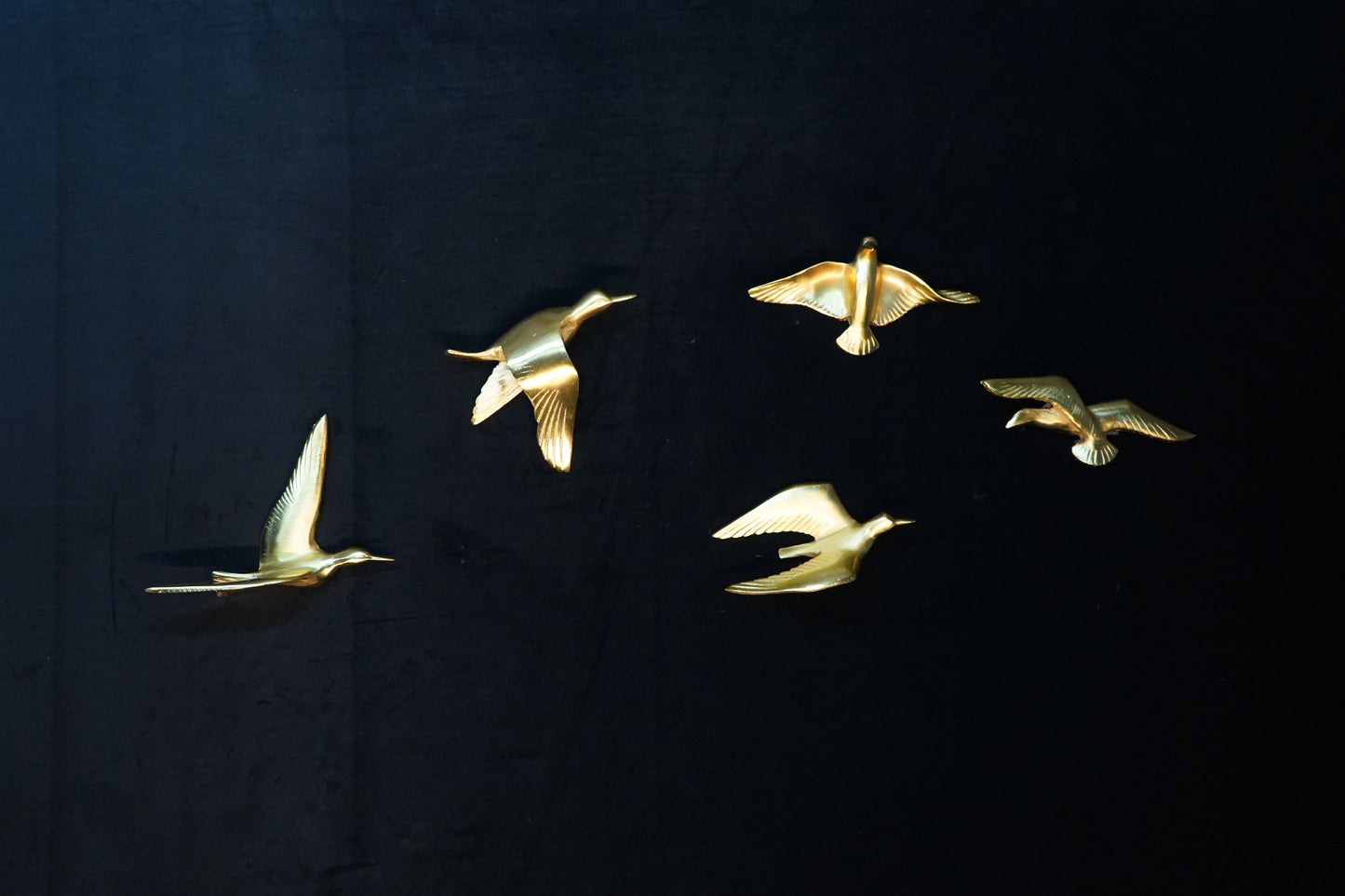 Set of 5 birds