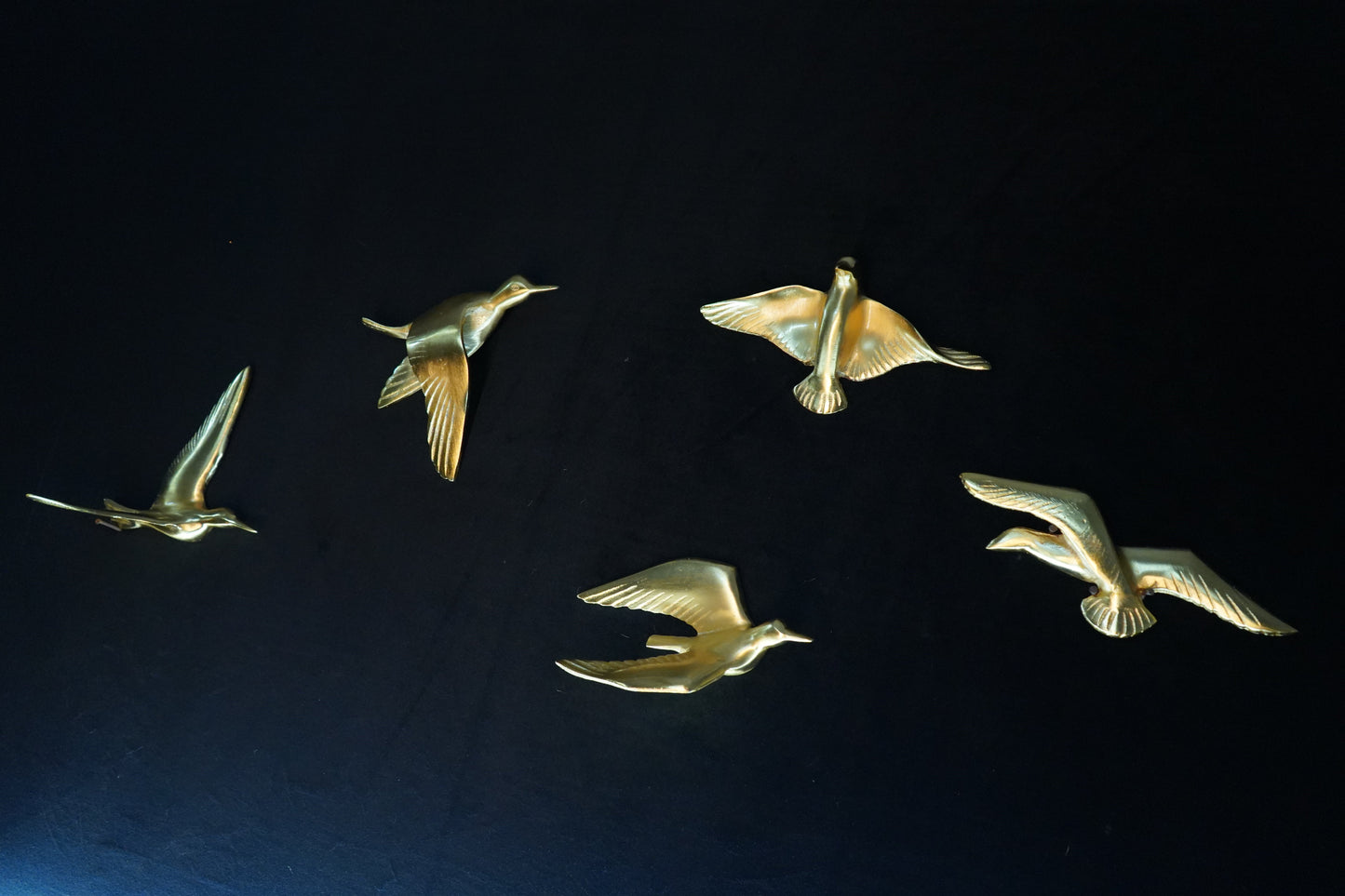 Set of 5 birds