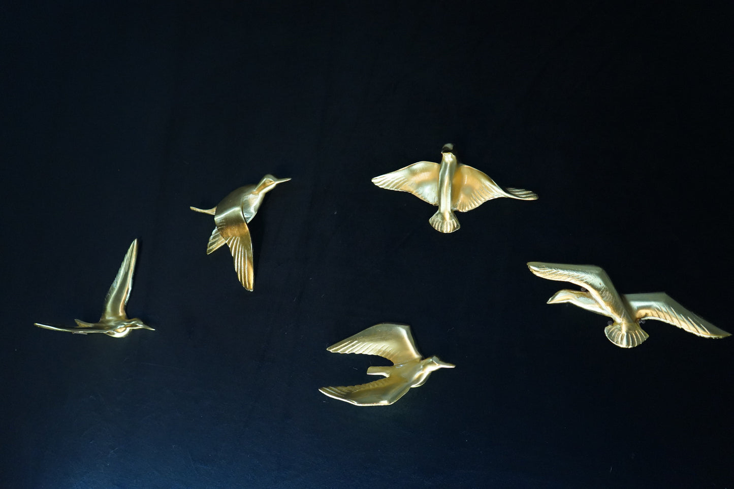 Set of 5 birds